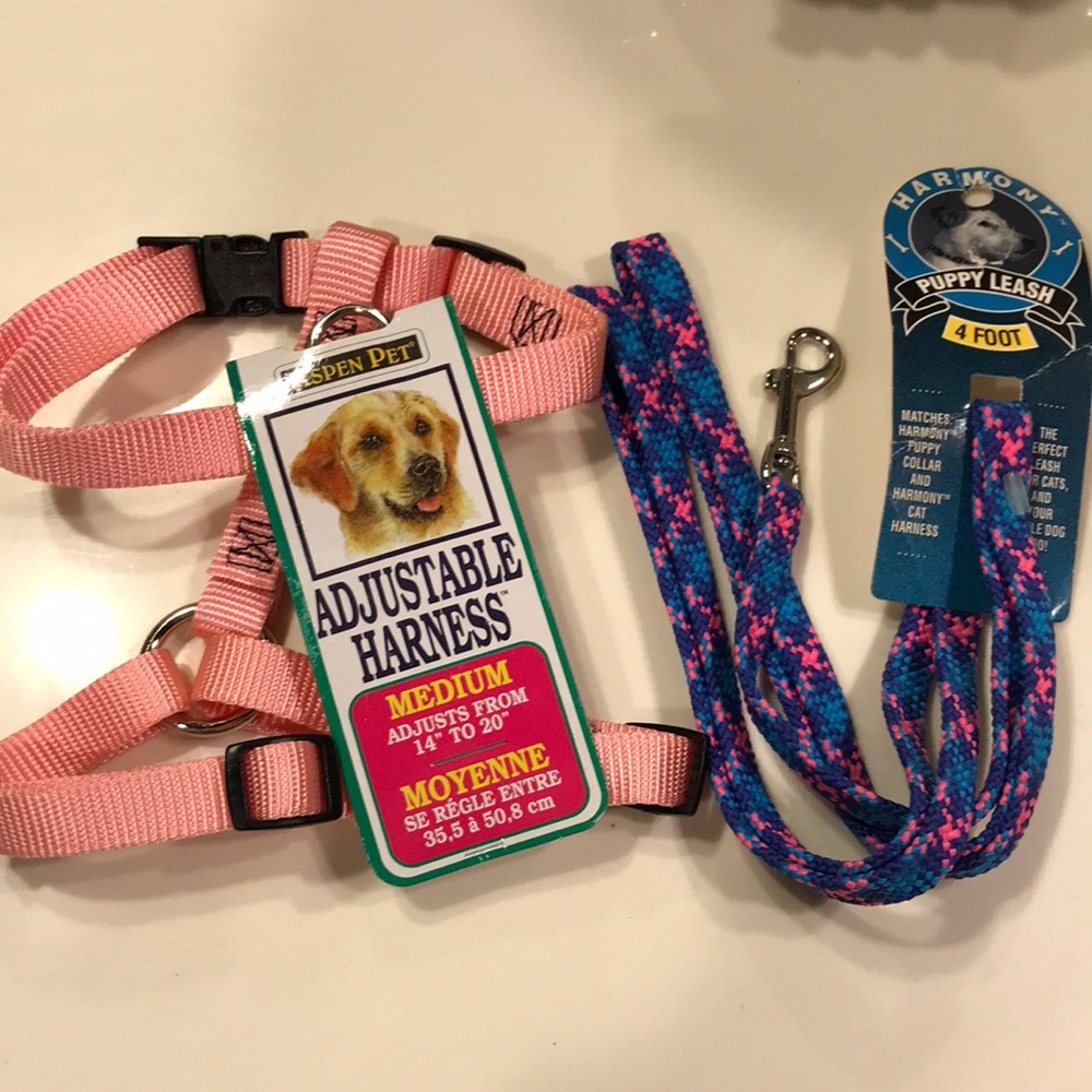 NWT adjustable pet harness & 4’ leash.